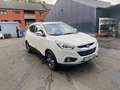 Hyundai iX35 1.7 CRDi 2WD Executive avec feuille rose. Wit - thumbnail 9