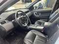 Land Rover Discovery Sport Discovery Sport Mark II TD4 150ch HSE Luxury A - thumbnail 5