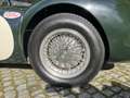 Aston Martin Sonstige Tojeiro Halton Aston Martin Rennwagen Grün - thumbnail 10