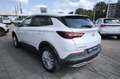Opel Grandland X 1.2 130PK Turbo Aut. Innovation | Navigatie | Came Wit - thumbnail 6