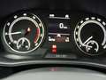 Skoda Fabia Active 1.0 TSI / LED, PDC, SHZ, SmartLink Silber - thumbnail 14