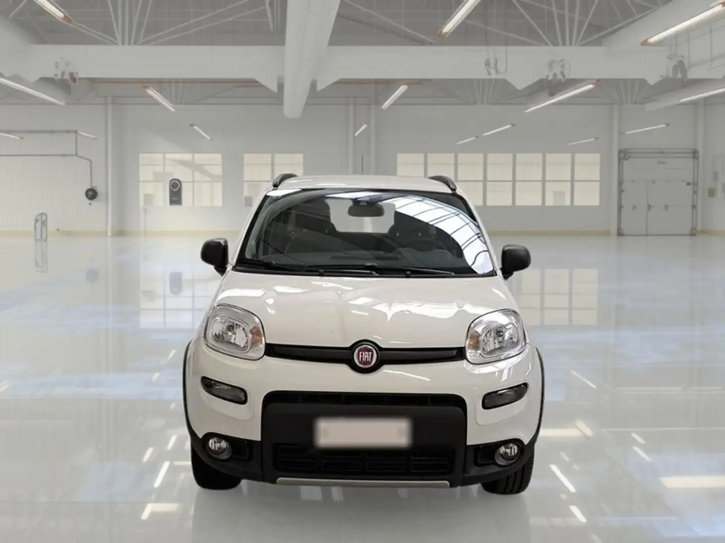 Fiat Panda 0.9 TwinAir Turbo 85cv Wild 4x4 5 PORTE - 2