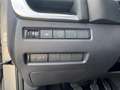 Nissan Qashqai 1.3 Mild-Hybrid 140pk Acenta | Panoramadak | 360 C Grijs - thumbnail 19