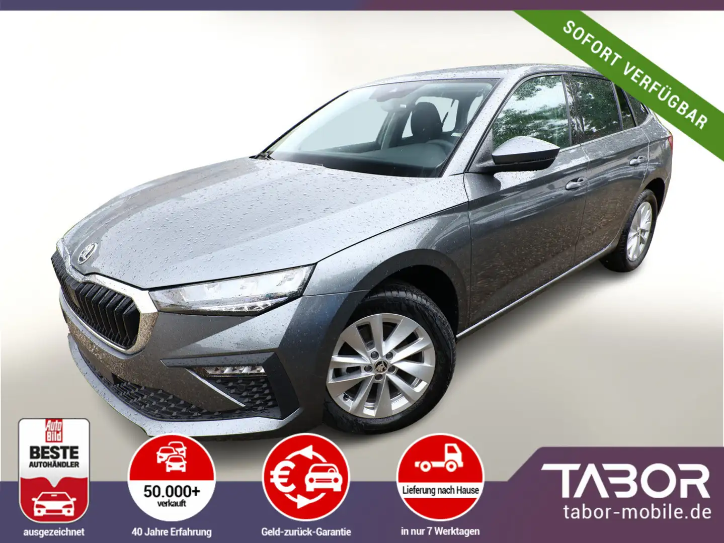 Skoda Scala TSI 116 DSG Selec LED vEHK ACC Kessy SunS Šedá - 1