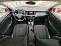 Skoda Scala Ambition DSG ° NUR 138 TKM ° SERVICE NEU ° LED ° TEMP ° Rot - thumbnail 11