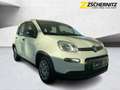 Fiat Panda 1.0 Pandina Cross PDC+Facelift+SpurH Blanc - thumbnail 5