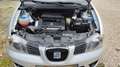 SEAT Ibiza 1.4 Sport Edition TÜV + Service NEU** Argent - thumbnail 14
