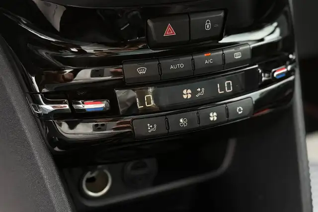 Peugeot 2008 view 10