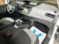 Citroen C4 SpaceTourer wenig KM, 156 PS Weiß - thumbnail 9