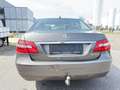 Mercedes-Benz E 220 E 220 CDI DPF BlueEFFICIENCY Automatik Avantgarde Marrone - thumbnail 5