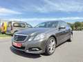 Mercedes-Benz E 220 E 220 CDI DPF BlueEFFICIENCY Automatik Avantgarde Marrone - thumbnail 6