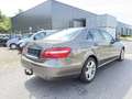 Mercedes-Benz E 220 E 220 CDI DPF BlueEFFICIENCY Automatik Avantgarde Marrone - thumbnail 7