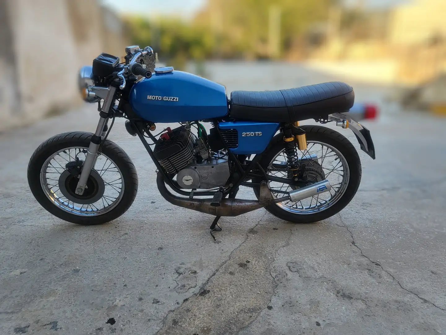 Moto Guzzi 250 TS Azul - 1