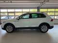 Volkswagen Tiguan 2.0 TDI LIFE SCR 150 CV DSG Bianco - thumbnail 7