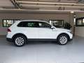 Volkswagen Tiguan 2.0 TDI LIFE SCR 150 CV DSG Bianco - thumbnail 5