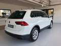 Volkswagen Tiguan 2.0 TDI LIFE SCR 150 CV DSG Bianco - thumbnail 21