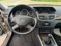 Mercedes-Benz E 250 E 250 CDI BlueEfficiency (212.003) Schwarz - thumbnail 16