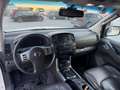 Nissan Pathfinder 3.0 dCi LE Weiß - thumbnail 18