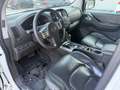 Nissan Pathfinder 3.0 dCi LE Weiß - thumbnail 17