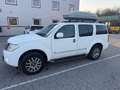 Nissan Pathfinder 3.0 dCi LE Weiß - thumbnail 3