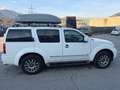 Nissan Pathfinder 3.0 dCi LE Weiß - thumbnail 12