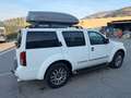 Nissan Pathfinder 3.0 dCi LE Weiß - thumbnail 11