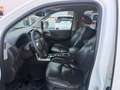 Nissan Pathfinder 3.0 dCi LE Weiß - thumbnail 16