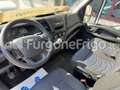 Iveco Daily Coibentato Frigorifero Isotermico Frigo Blanc - thumbnail 14