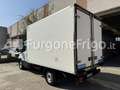 Iveco Daily Coibentato Frigorifero Isotermico Frigo Blanc - thumbnail 4