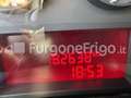 Iveco Daily Coibentato Frigorifero Isotermico Frigo Blanc - thumbnail 15