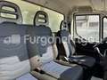 Iveco Daily Coibentato Frigorifero Isotermico Frigo Blanc - thumbnail 13