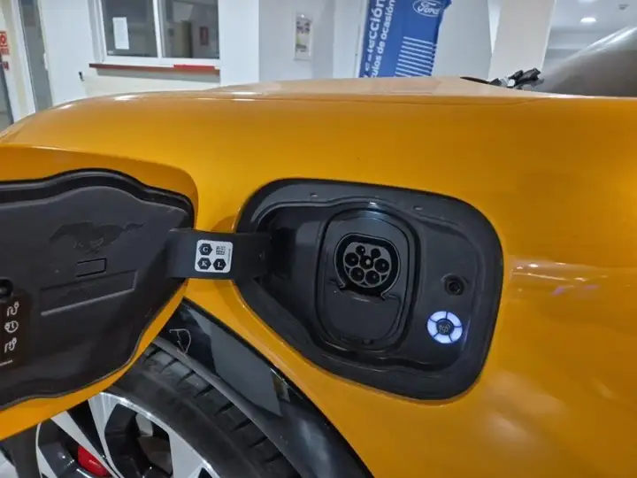 Ford Mustang Mach-E 2022, foto 28