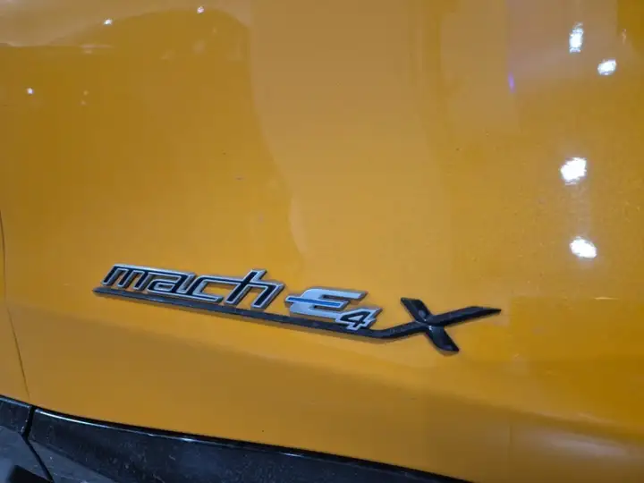 Ford Mustang Mach-E 2022, foto 27