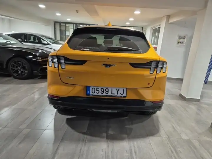 Ford Mustang Mach-E 2022, foto 7