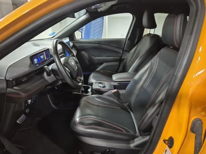 Ford Mustang Mach-E 2022, foto 9