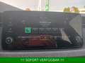 Skoda Kamiq 1.0 TSI Selection Plus*Alu 16"*Kamera*SHZ Noir - thumbnail 47