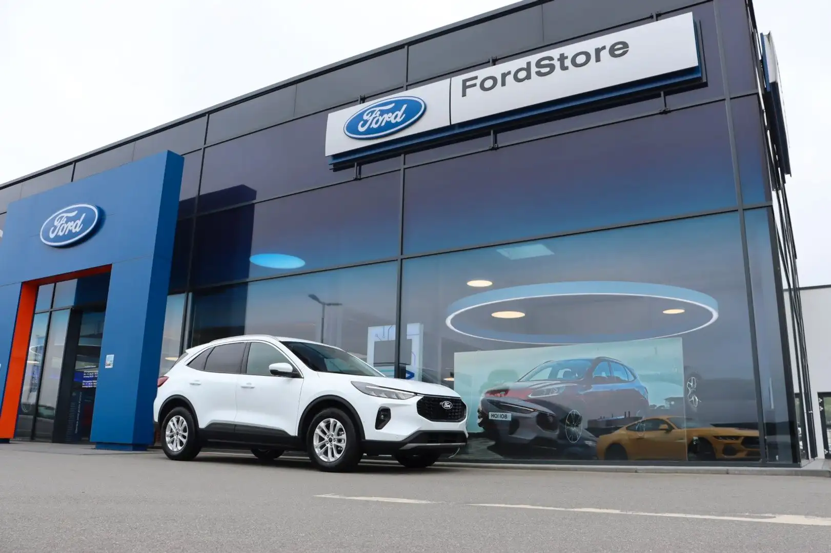 Ford Kuga Titanium FHEV NEUES MODELL 2,5 Duratec Grün - 2