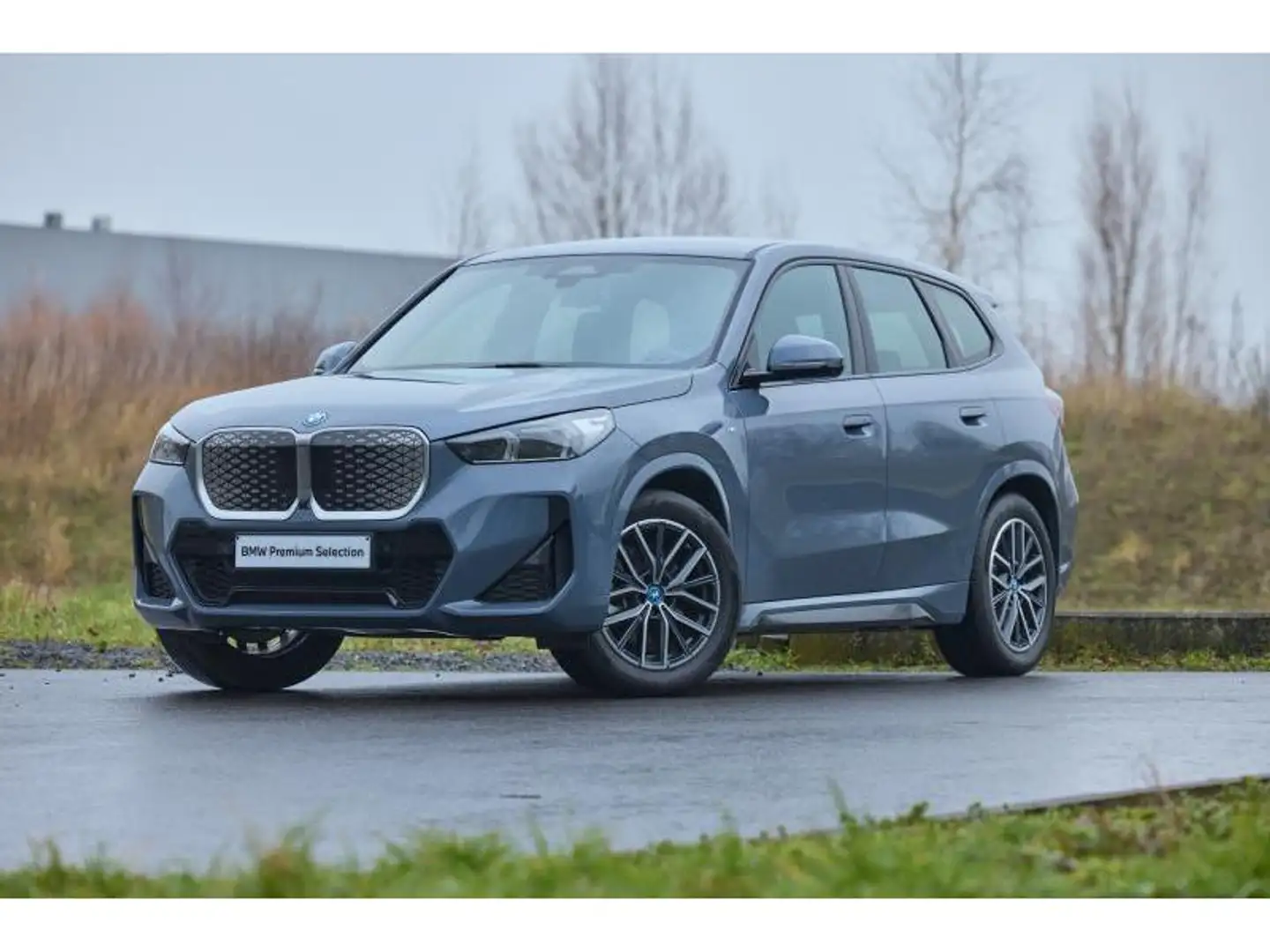 BMW iX1 iX1 xDrive30 Grijs - 1