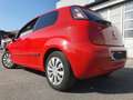 Fiat Punto Evo 5p 1.2 Active s&s Rouge - thumbnail 2