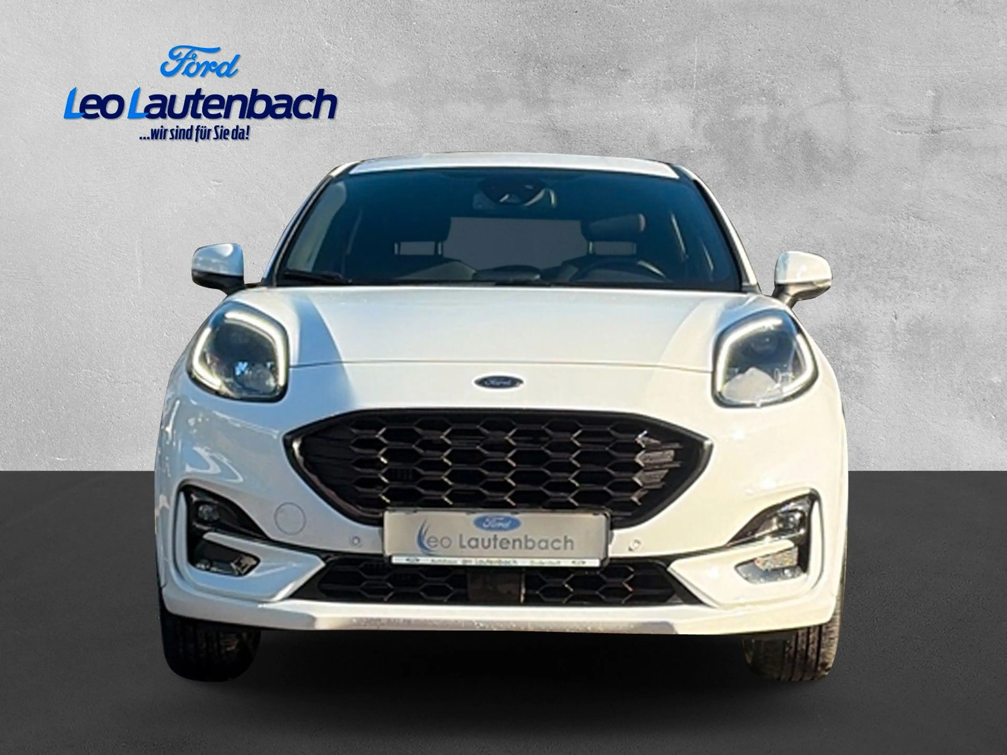 Ford Puma ST-Line X — photo 6