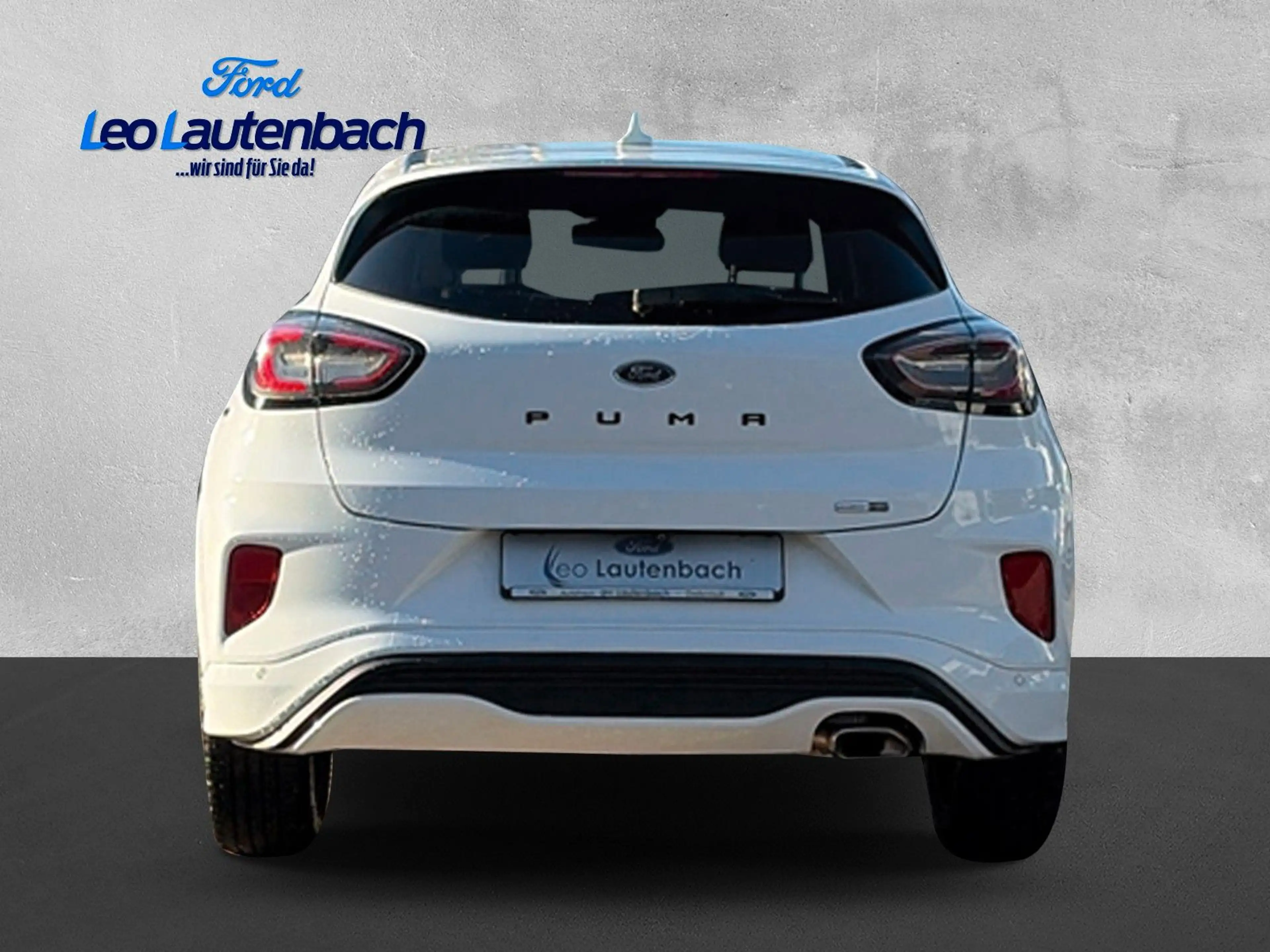 Ford Puma ST-Line X — photo 4