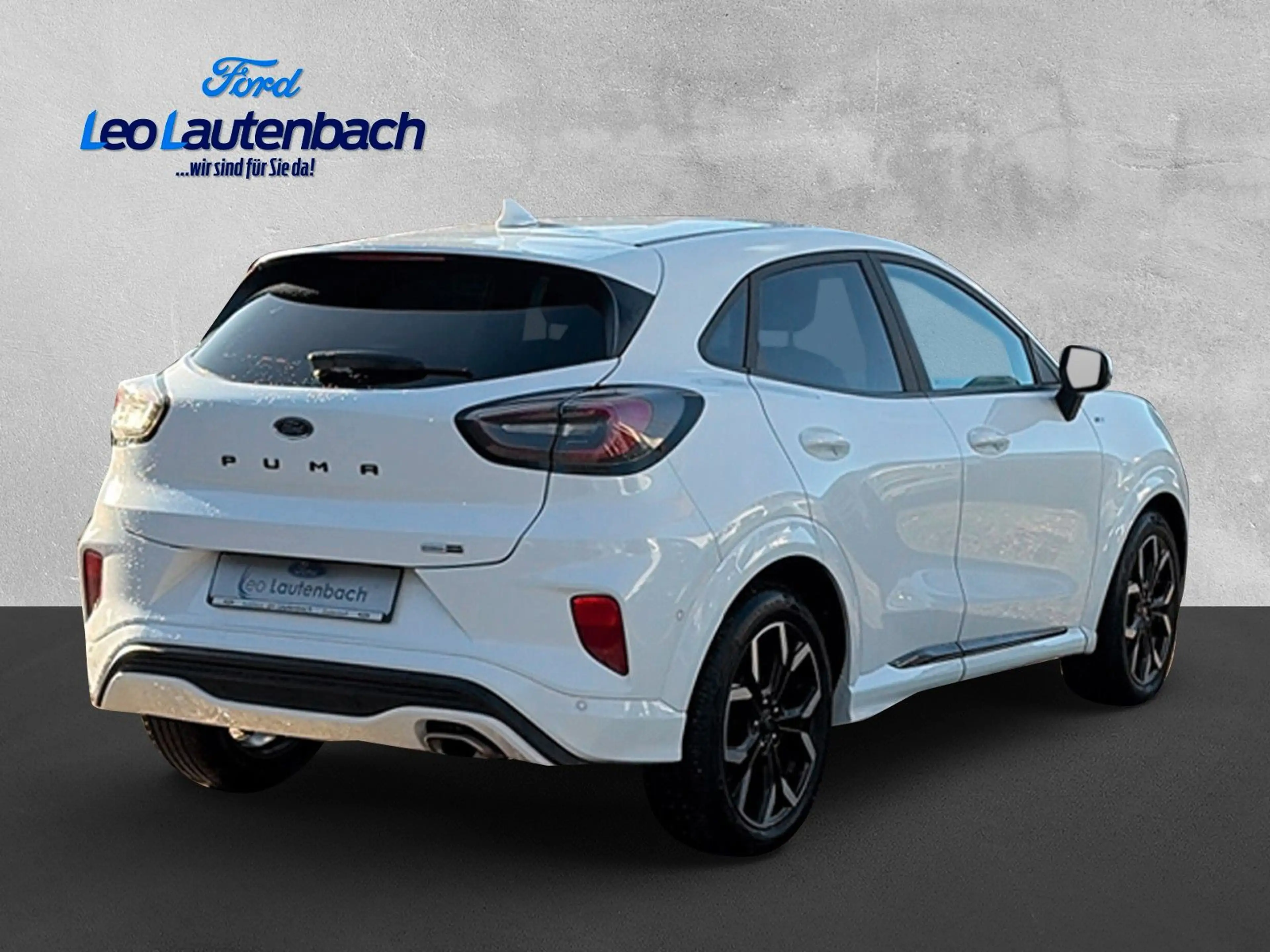 Ford Puma ST-Line X — photo 5