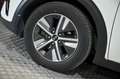 Kia Niro 1.6 GDi HEV 104kW 141CV Drive Bianco - thumbnail 14