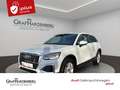 Audi Q2 Advanced 35TFSI S-Tr. AHK Rückfahrkamera Weiß - thumbnail 1