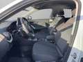 Audi Q2 Advanced 35TFSI S-Tr. AHK Rückfahrkamera Weiß - thumbnail 11