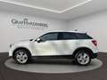 Audi Q2 Advanced 35TFSI S-Tr. AHK Rückfahrkamera Weiß - thumbnail 2