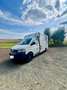 Volkswagen T5 RTW Camper Van Wohnmobil Белый - thumbnail 3