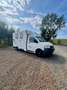 Volkswagen T5 RTW Camper Van Wohnmobil Белый - thumbnail 1
