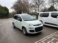 Fiat Panda Pop Weiß - thumbnail 2