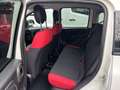Fiat Panda Pop Weiß - thumbnail 13